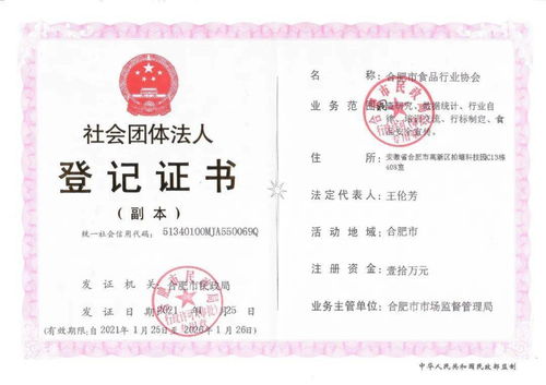 合肥市食品行业协会正式成立，助力企业网站建设与行业数字化转型