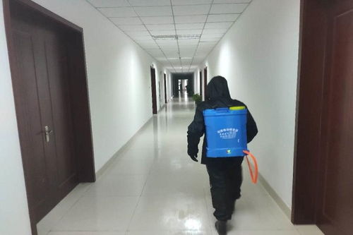 合肥高新区双河社区 党建引领，织密安全网，助力企业有序复工与稳健发展