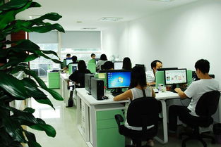 金网助力合肥企业网站建设 数字化时代的企业新名片